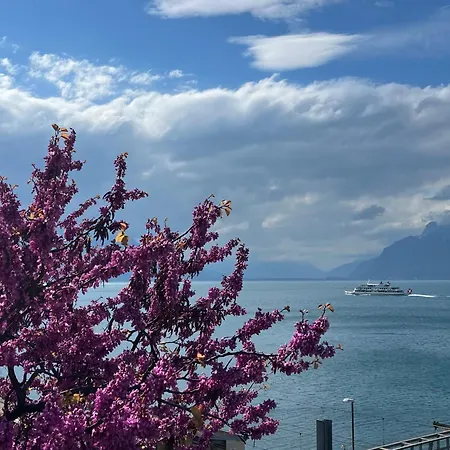 Dynastyconcept Luxury Lavaux Apartment *